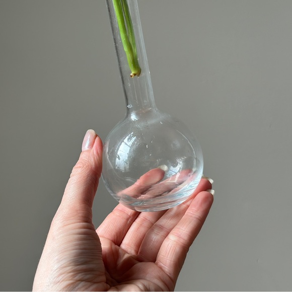 Vintage Clear Glass Propagation Vase Plant Bud Vase - Picture 5 of 9